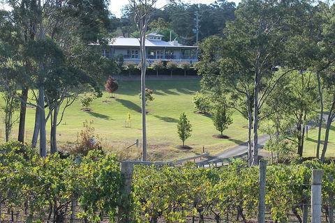 Tulloch Wines- Tasting Of 6 Pokolbin Dry Red Shiraz Vintages With Charcuterie - Accommodation Gladstone 6