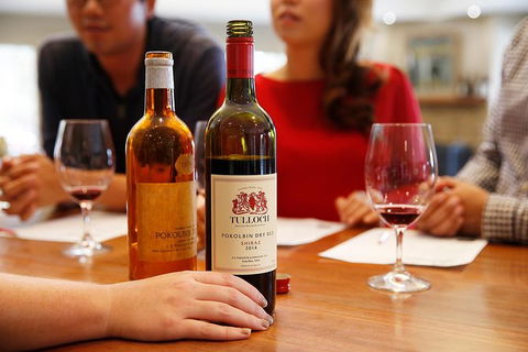 Tulloch Wines- Tasting Of 6 Pokolbin Dry Red Shiraz Vintages With Charcuterie - Accommodation Gladstone 3