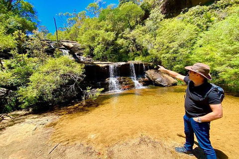 Private Blue Mountains Photography Expedition - Accommodation Gladstone 8