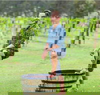 Hunter Valley Grape Stomping - Accommodation Gladstone