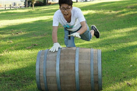 Hunter Valley Wine Barrel Rolling - Accommodation Gladstone 2