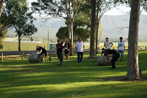 Hunter Valley Wine Barrel Rolling - Accommodation Gladstone 5