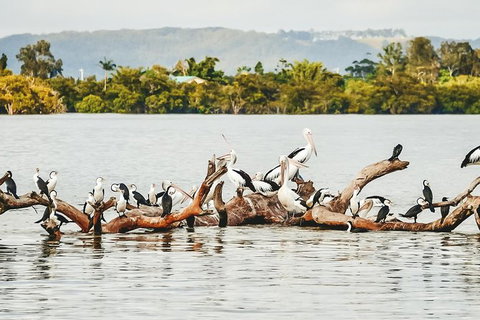 Sunset River Cruise Near Byron Bay - Accommodation Gladstone 27