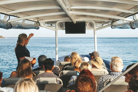 Sunset River Cruise Near Byron Bay - Accommodation Gladstone 29