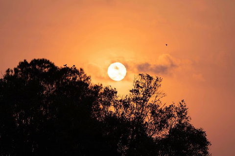 Sunset River Cruise Near Byron Bay - Accommodation Gladstone 14