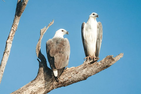 Sunset River Cruise Near Byron Bay - Accommodation Gladstone 19