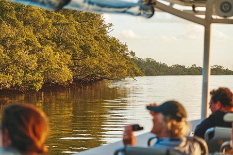 Sunset River Cruise Near Byron Bay - Accommodation Gladstone 26