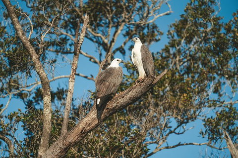 Sunset River Cruise Near Byron Bay - Accommodation Gladstone 9