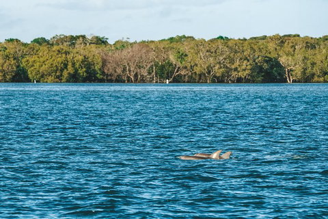 Sunset River Cruise Near Byron Bay - Accommodation Gladstone 2