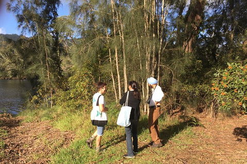 Fishermans Paradise Eco-walk - Accommodation Gladstone 1