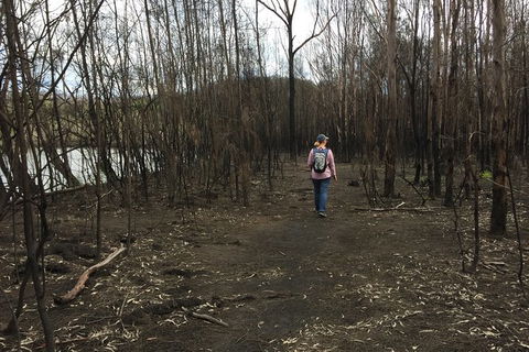 Fishermans Paradise Eco-walk - Accommodation Gladstone 5