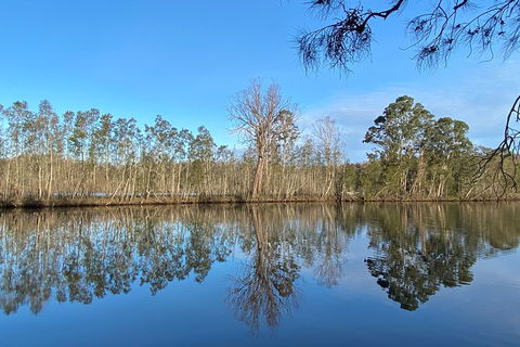 Fishermans Paradise Eco-walk - Accommodation Gladstone 4