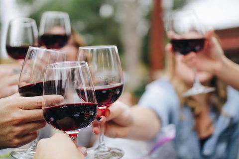 Six Hour - Plan Your Own Wine And Cheese Tour Hunter Valley - Accommodation Gladstone 8