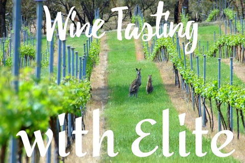 Six Hour - Plan Your Own Wine And Cheese Tour Hunter Valley - Accommodation Gladstone 7