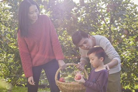 Blue Mountains Botanic Garden And Bilpin Tour From Katoomba With Cider Tasting - Accommodation Gladstone 1