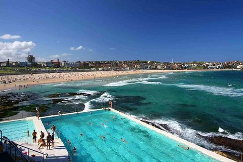 Private Sydney City & Bondi Beach Half Day Tour - Accommodation Gladstone 2