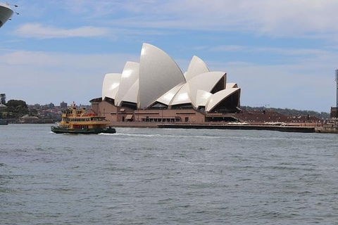 Private Sydney City & Bondi Beach Half Day Tour - Accommodation Gladstone 0