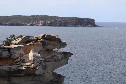 Private Sydney City & Bondi Beach Half Day Tour - Accommodation Gladstone 1