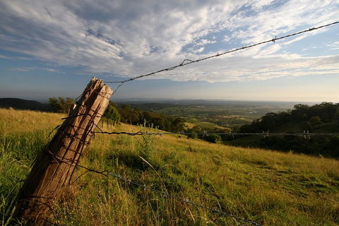 Private Full-Day Wine Tour In Hunter Valley - Accommodation Gladstone 3