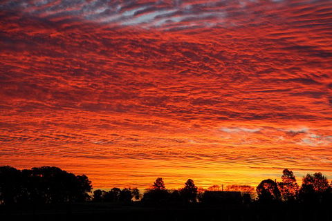 Private Full-Day Wine Tour In Hunter Valley - Accommodation Gladstone 0