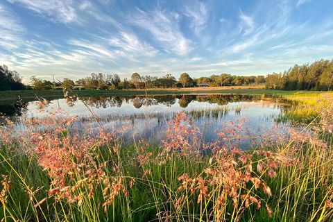 Private Full-Day Wine Tour In Hunter Valley - Accommodation Gladstone 5