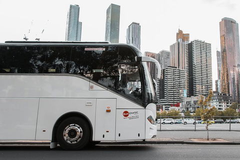 Private 24 Seat Mini Bus Sydney CBD To BankWest Stadium Transfer - Accommodation Gladstone 1