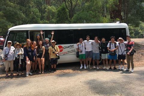 Private 24 Seat Mini Bus Sydney CBD To BankWest Stadium Transfer - Accommodation Gladstone 4
