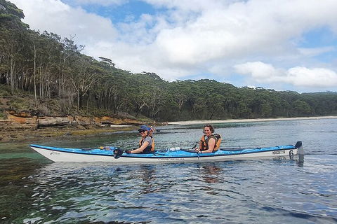 Half-Day Jervis Bay Sea Kayak Tour - Accommodation Gladstone 6