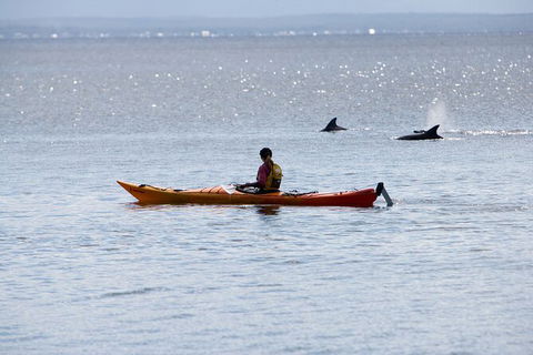 Half-Day Jervis Bay Sea Kayak Tour - Accommodation Gladstone 4