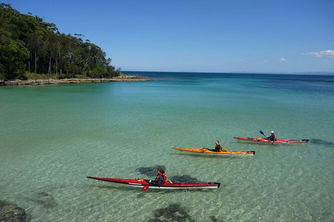 Half-Day Jervis Bay Sea Kayak Tour - Accommodation Gladstone 3