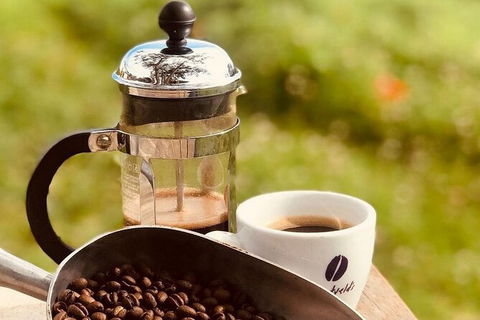 Coffee Farm Tour And Workshop, Byron Bay Hinterland - Accommodation Gladstone 0