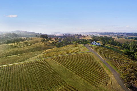 Audrey Wilkinson Vineyard: Fromage And Fortified Wine Experience - Accommodation Gladstone 1