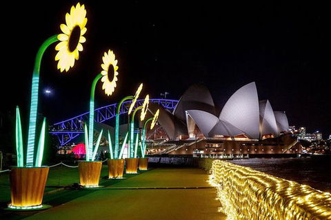 Private Vivid Sydney Harbour Cruise For Up To 20 Guests - Accommodation Gladstone 6