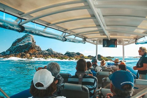 Julian Rocks Byron Bay Cruise - Accommodation Gladstone 13