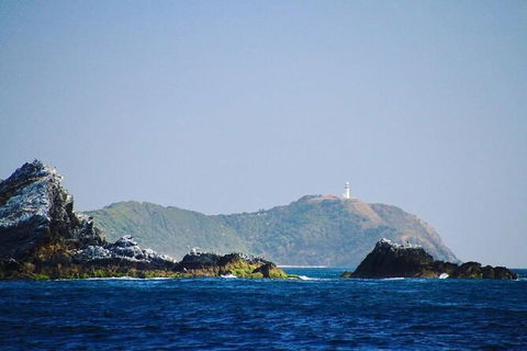 Julian Rocks Byron Bay Cruise - Accommodation Gladstone 2