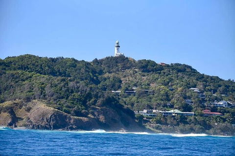 Julian Rocks Byron Bay Cruise - Accommodation Gladstone 7