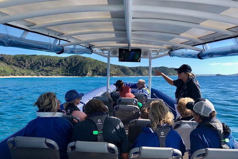 Julian Rocks Byron Bay Cruise - Accommodation Gladstone 11
