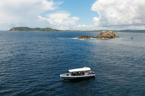Julian Rocks Byron Bay Cruise - Accommodation Gladstone 0
