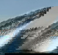 2hr Explorer Cruise - Sydney's best value whale watching cruise - Accommodation Gladstone