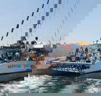 Sydney Party Boat and Cruise Hire - Accommodation Gladstone
