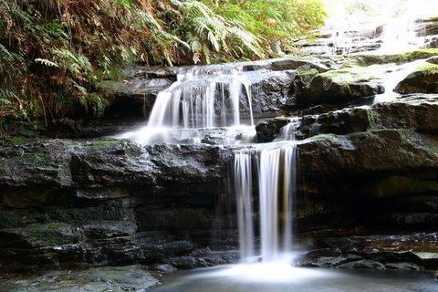 Private 10-hour Tour To Blue Mountains From Sydney - Hotel Pick Up & Drop Off - Accommodation Gladstone 6