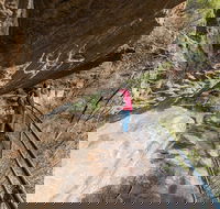 Blue Mountains Highlights  Wildlife Park - Accommodation Gladstone