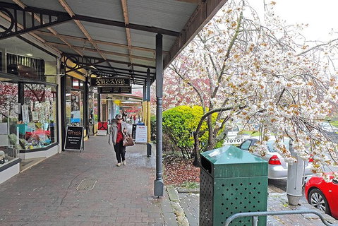 Blue Mountains Highlights, Wildlife Park And Scenic World Full Day Private Tour - Accommodation Gladstone 2