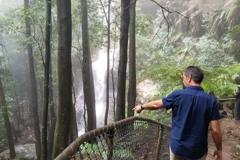 Blue Mountains Highlights, Wildlife Park And Scenic World Full Day Private Tour - Accommodation Gladstone 6
