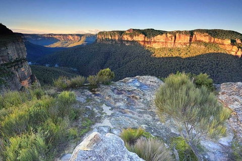 Blue Mountains Highlights, Wildlife Park And Scenic World Full Day Private Tour - Accommodation Gladstone 4