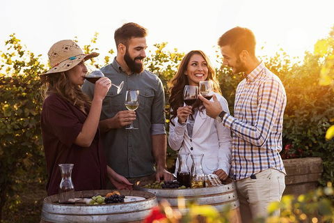 Hunter Valley Highlights Private Wine Tour From Sydney - Accommodation Gladstone 0