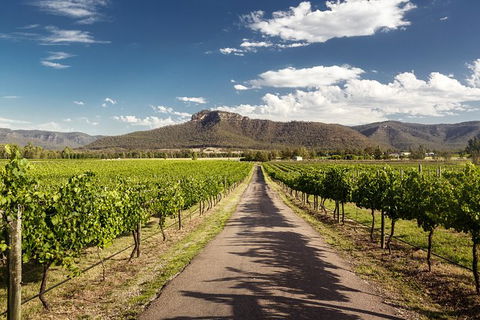 Hunter Valley Highlights Private Wine Tour From Sydney - Accommodation Gladstone 2