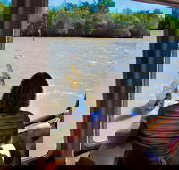 Jumping Crocs  Nature Adventure Cruise from Darwin - Accommodation Gladstone