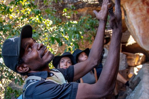 Arnhem Land Injalak Hill Full-Day Tour From Jabiru - Accommodation Gladstone 0