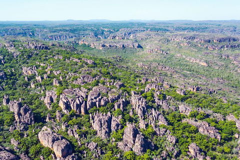 Jabiru 30 Minute Scenic Flight - Accommodation Gladstone 1
